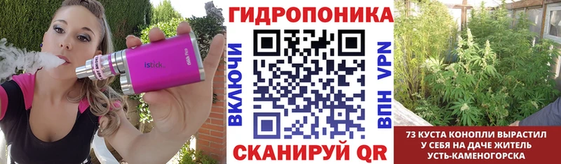 Бошки Шишки White Widow  Купить где  Десногорск 